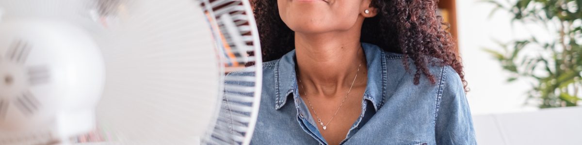 ventilateur rafraichissant